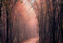 爱游戏app下载-曼城被皇马逆袭,总比分可惜告别欧洲之巅!