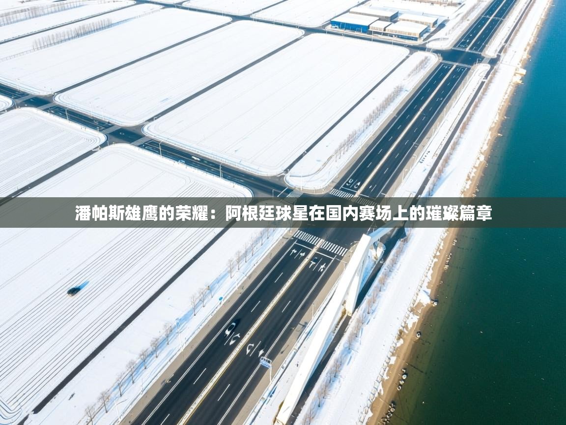 潘帕斯雄鹰的荣耀：阿根廷球星在国内赛场上的璀璨篇章  第1张