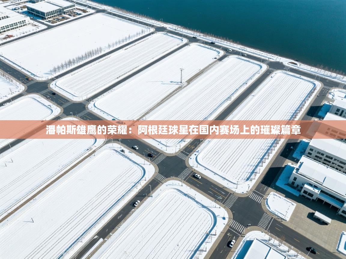 潘帕斯雄鹰的荣耀：阿根廷球星在国内赛场上的璀璨篇章  第2张