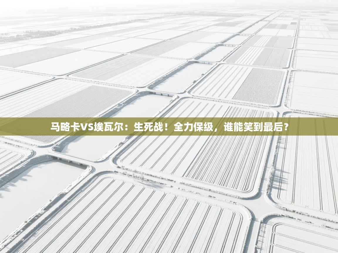 马略卡VS埃瓦尔：生死战！全力保级，谁能笑到最后？  第1张