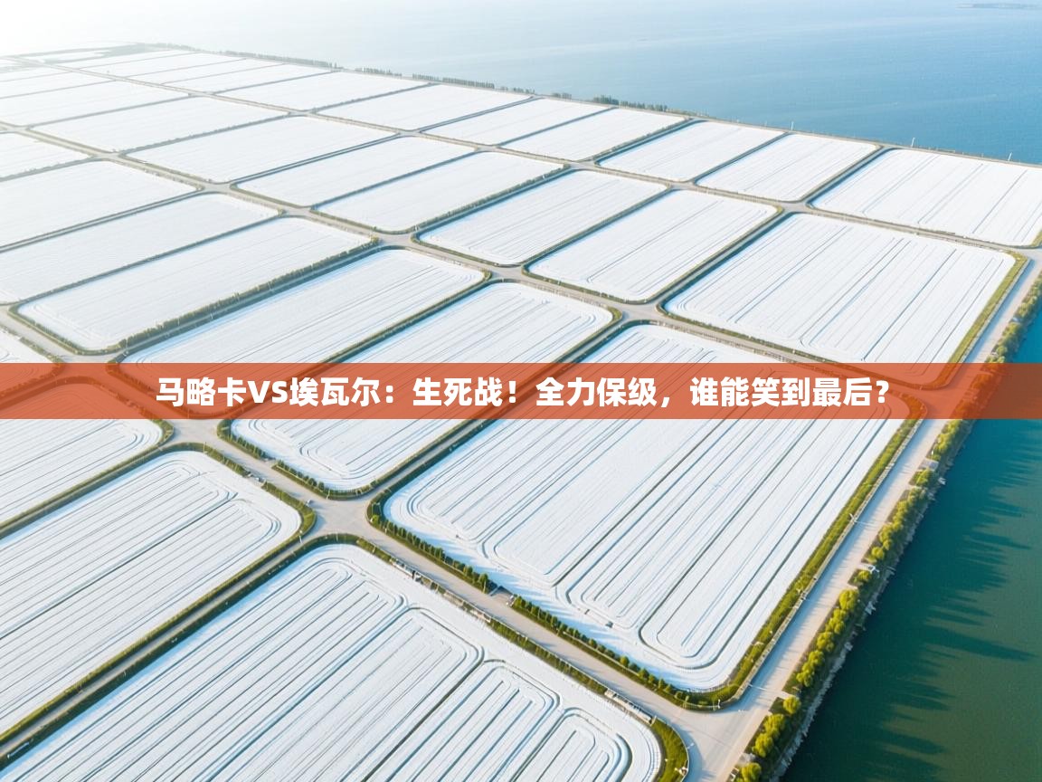 马略卡VS埃瓦尔：生死战！全力保级，谁能笑到最后？  第2张