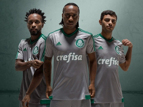 爱游戏电竞-关于帕尔梅拉斯球迷现场助威,激发球队夺冠斗志的信息