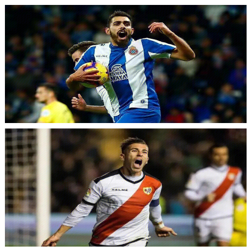 巴列卡诺队惨遭逆转，主场输球的简单介绍