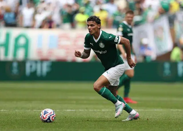 爱游戏链接-帕尔梅拉斯球迷现场助威,激发球队夺冠斗志的简单介绍