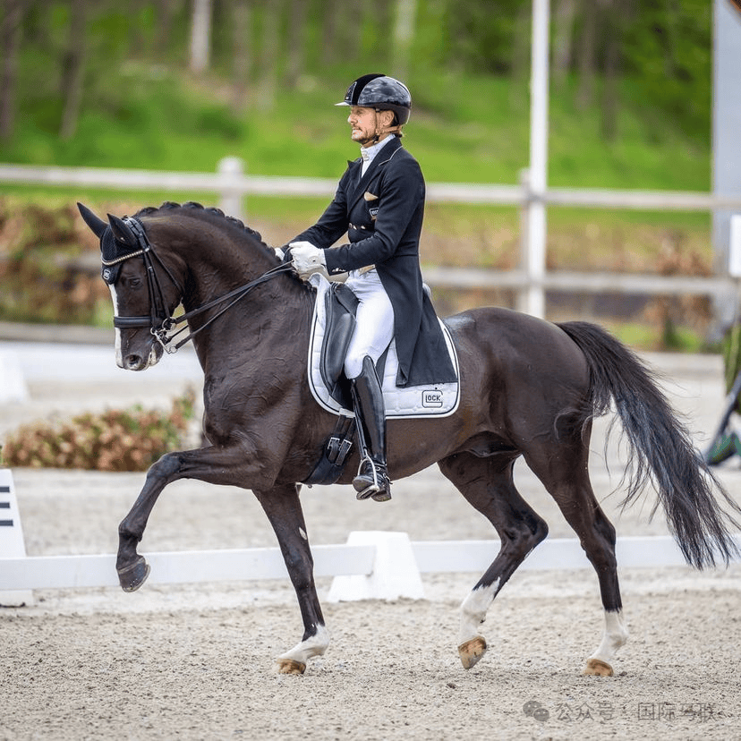 澳大利亚马术选手优雅斩获金牌 澳大利亚马术选手优雅斩获金牌